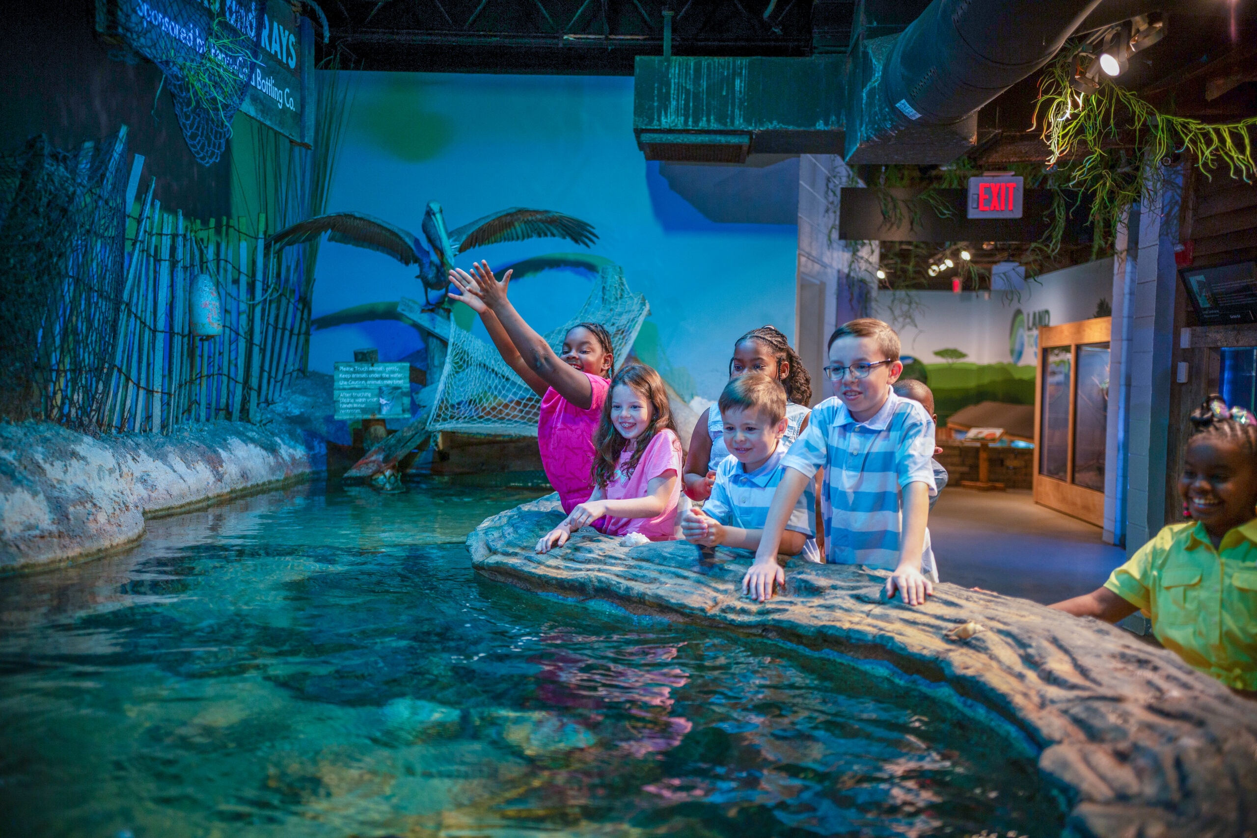 Coral reef aquarium with tropical fish