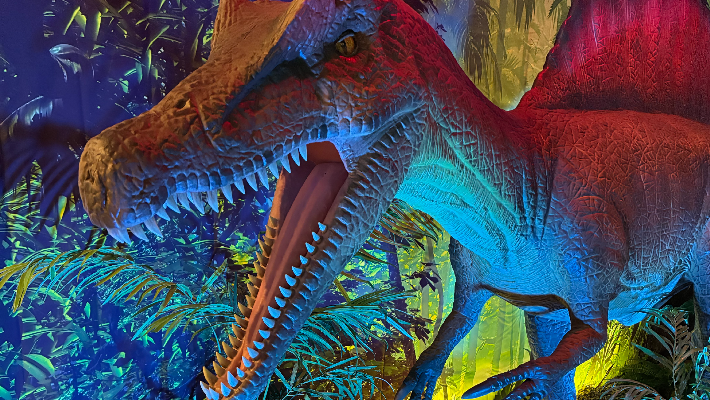 Life-size illuminated dinosaur display in Carpenter Hall