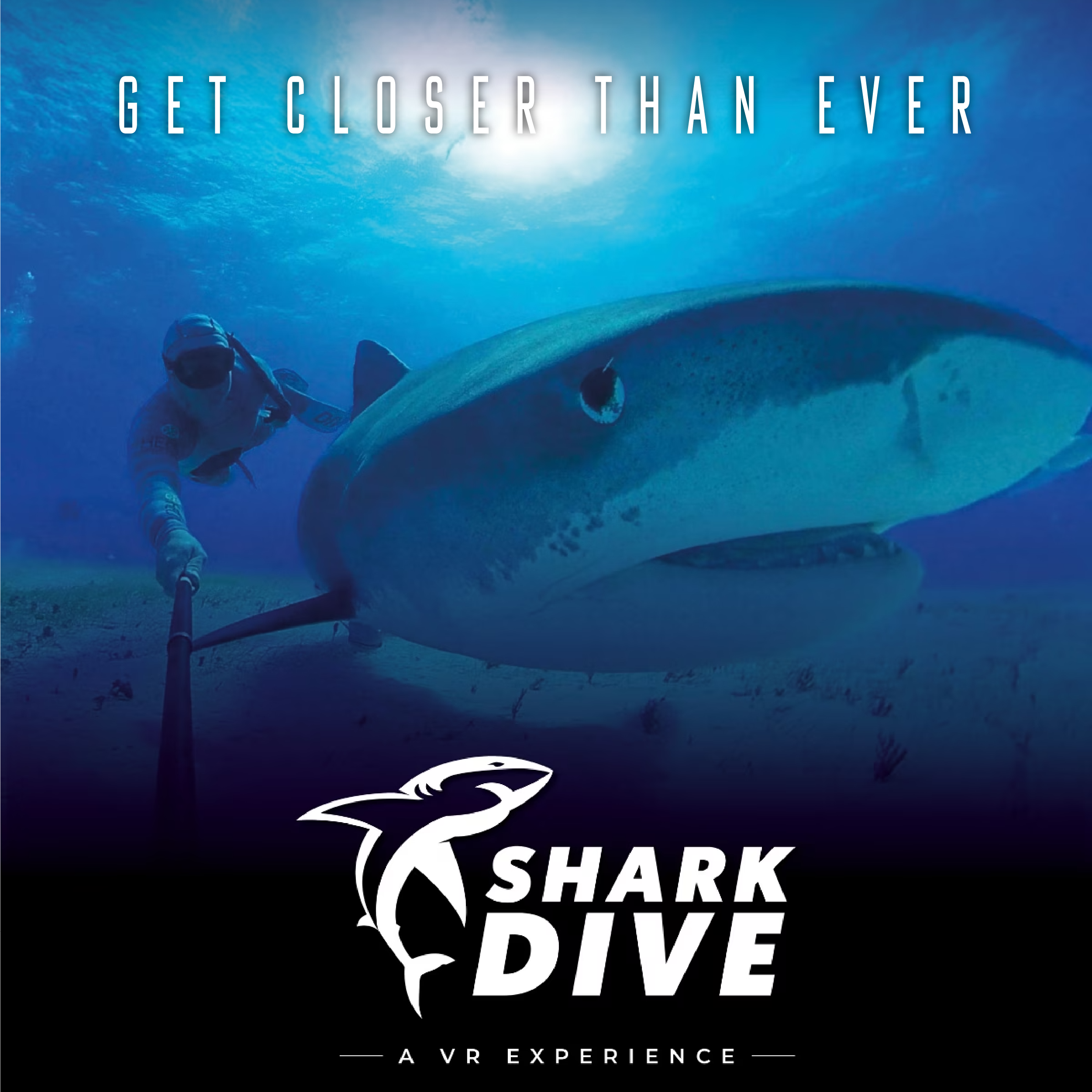 Shark Dive — a VR experience