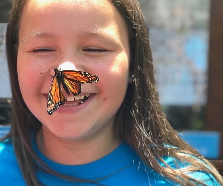 Flutterby Butterfly Habitat at Catawba Science Center