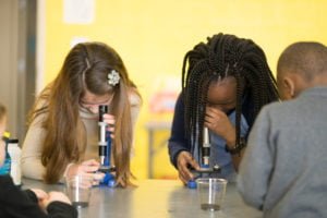 Join Catawba Science Center Scholarships And Discounts Catawba Science Center Changing Lives And Inspiring Learning Through Science And Wonder