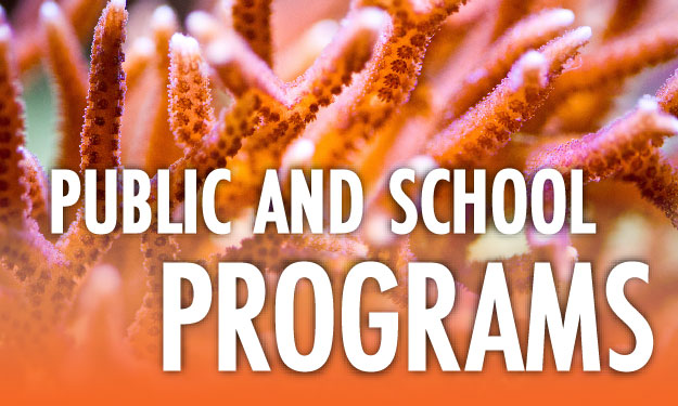 Public and School Programs