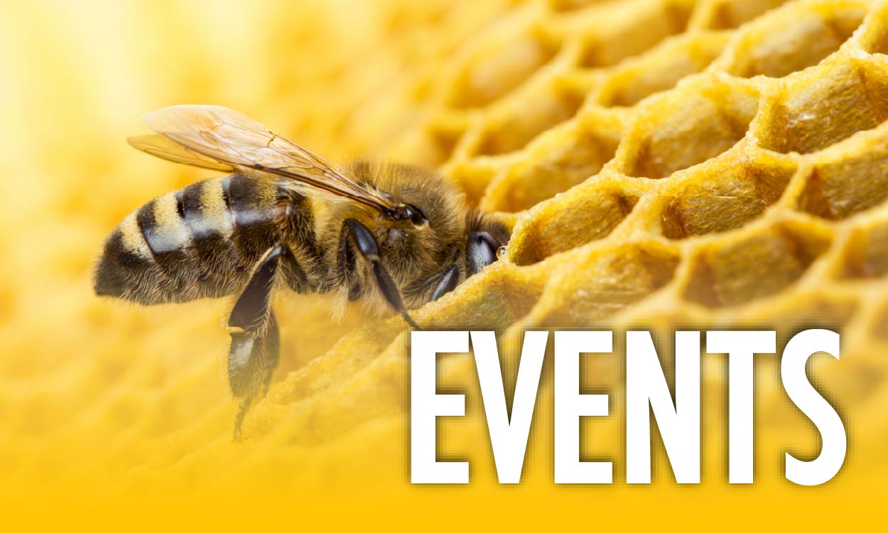 Events
