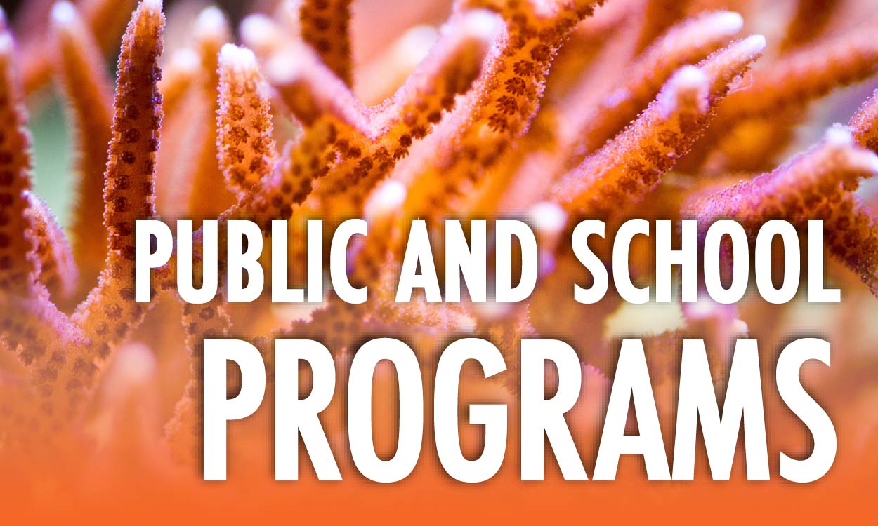 Public and School Programs
